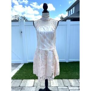 Anthropologie romantic lace mesh light pink nude embroidered dress Victorian 4